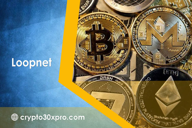 Loopnet